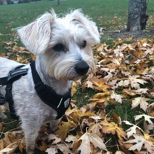 Meet your Posher, Chloe